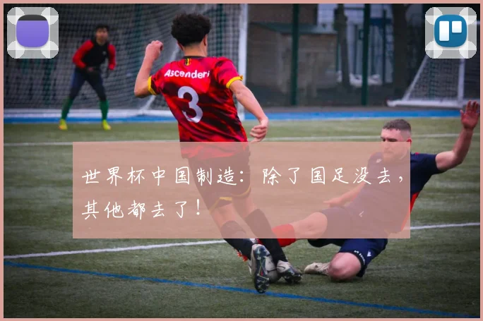 世界杯中国制造：除了国足没去，其他都去了！