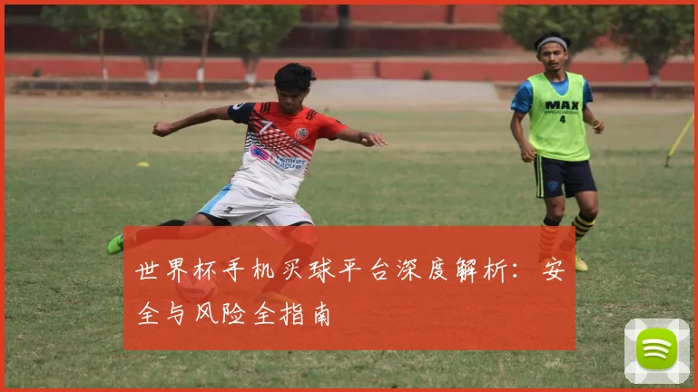 世界杯手机买球平台深度解析:安全与风险全指南