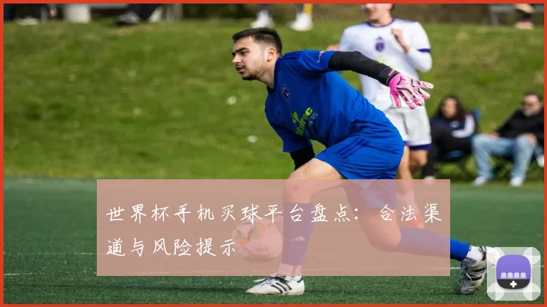 世界杯手机买球平台盘点:合法渠道与风险提示