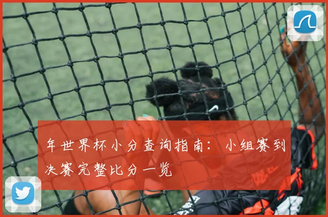 年世界杯小分查询指南:小组赛到决赛完整比分一览