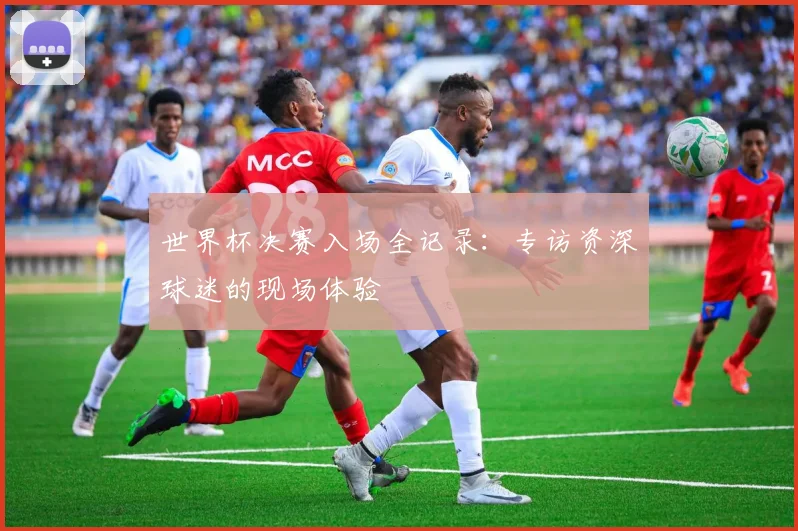 世界杯决赛入场全记录:专访资深球迷的现场体验