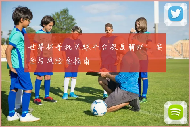 世界杯手机买球平台深度解析:安全与风险全指南
