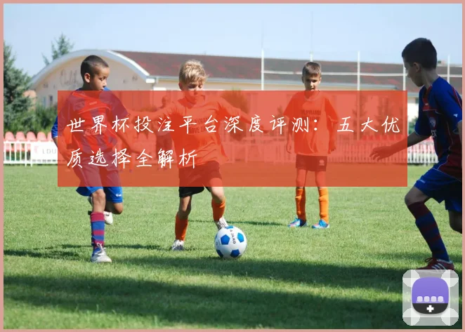 世界杯投注平台深度评测：五大优质选择全解析